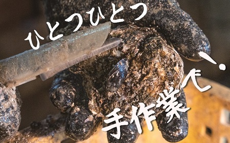  ハマミツ海産　生牡蠣むき身（加熱調理用）