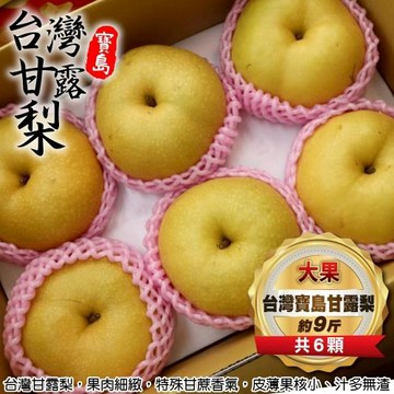 果物樂園-台灣寶島甘露梨 大果(6顆/每箱約9斤)
