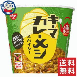 送料無料 カップライス 日清 キーマカレーメシ スパイシー 105g×6個入×2ケース