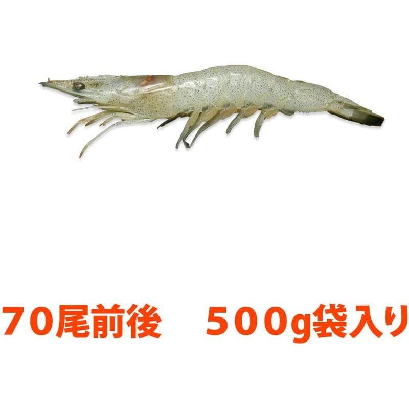 芝海老 500g 70尾程