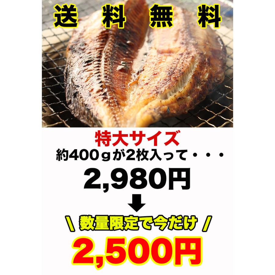 大きい 特大サイズ 縞ほっけ 干物 お試し 干物セット 送料無料 縞ほっけ 2枚セット 大きさが自慢 ほっけ 肉厚 干物 海産物