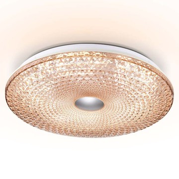 E27、LED 典雅金屬吸頂燈  E01-16-24111