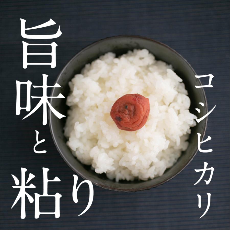  令和５年産 あさか舞 精米コシヒカリ 10kg