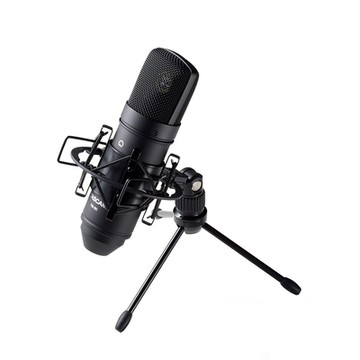 TASCAM 電容式麥克風 TM-80 (公司貨)