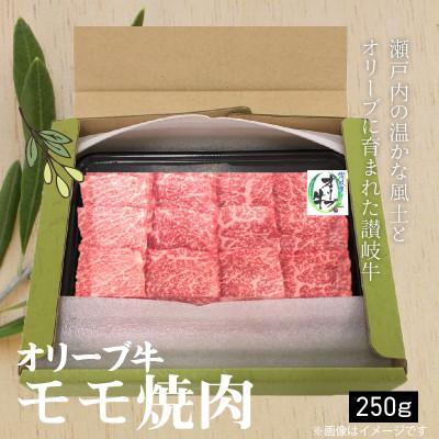 ふるさと納税 三豊市 オリーブ牛モモ焼肉用250g