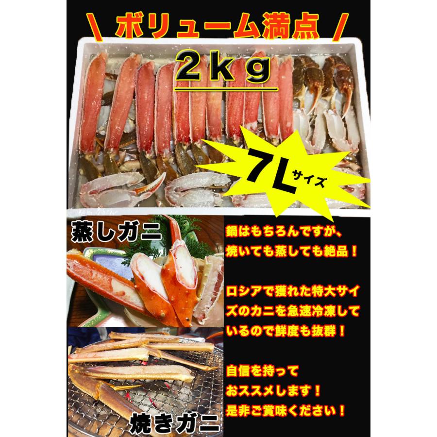 カニ 蟹 ズワイガニ カット済み 特大サイズ 送料無料 冷凍生ズワイガニ 7L 2kg ギフト 冷凍便 お取り寄せグルメ 海産物