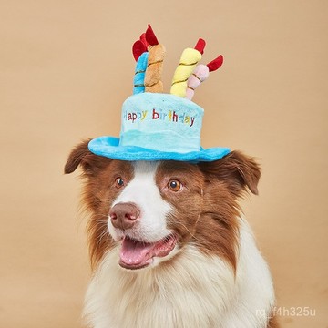 [24時熱賣]寵物生日服飾 寵物生日帽子玩具 貓咪狗狗新年禮物玩具亞馬遜爆款新款 LFCB