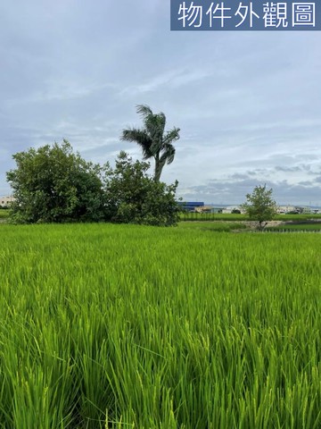 霧峰工業區旁千坪農地｜台中市霧峰區南勢東段