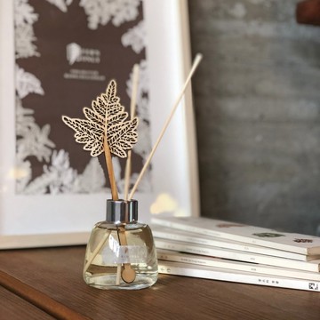 蕨品森林擴香組-半邊羽裂鳳尾蕨/愜意森林香| 香氛 精油 母親節