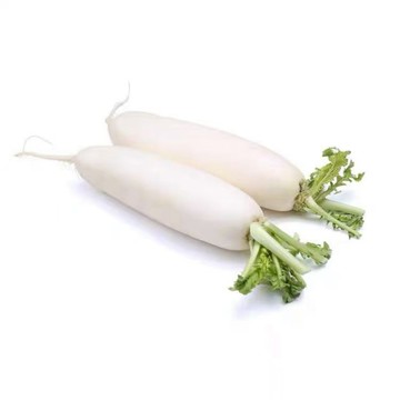 台灣白玉蘿蔔種子 迷你白蘿蔔 四季可種 盆栽陽台菜園 小蘿蔔 快收成 耐熱易種 家庭種菜 蔬果種籽 新手友善 快速發芽