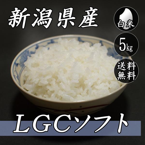 お米 5kg 新潟産 LGCソフト 5kg×1袋 送料無料 令和5年産 米 白米