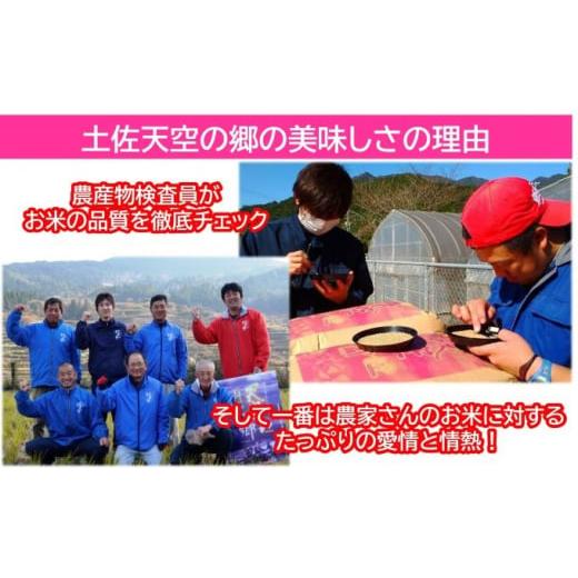 ふるさと納税 高知県 本山町 ★令和5年産★農林水産省の「つなぐ棚田遺産」に選ばれた棚田で育てられた棚田米 土佐天空の郷 2kg食べくらべセット