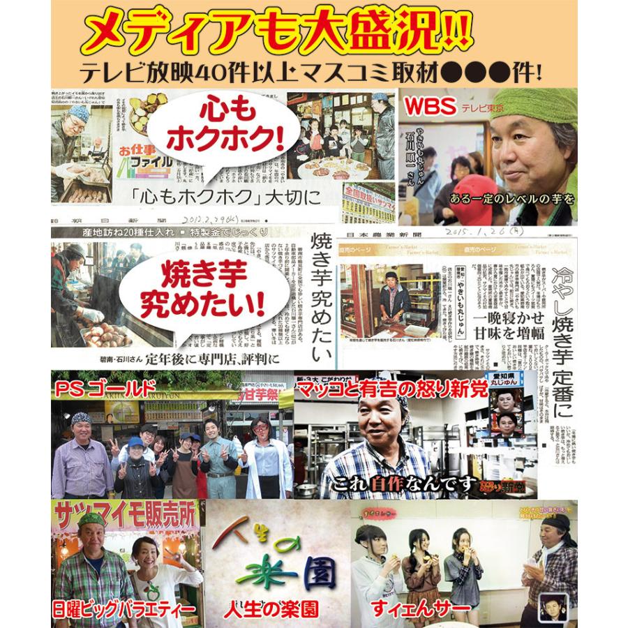 アオイファーム  葵はるか 焼き芋 紅はるか ねっとり甘い 冷蔵 冷やし焼き芋 ひえひえ君 1Kg 送料無料