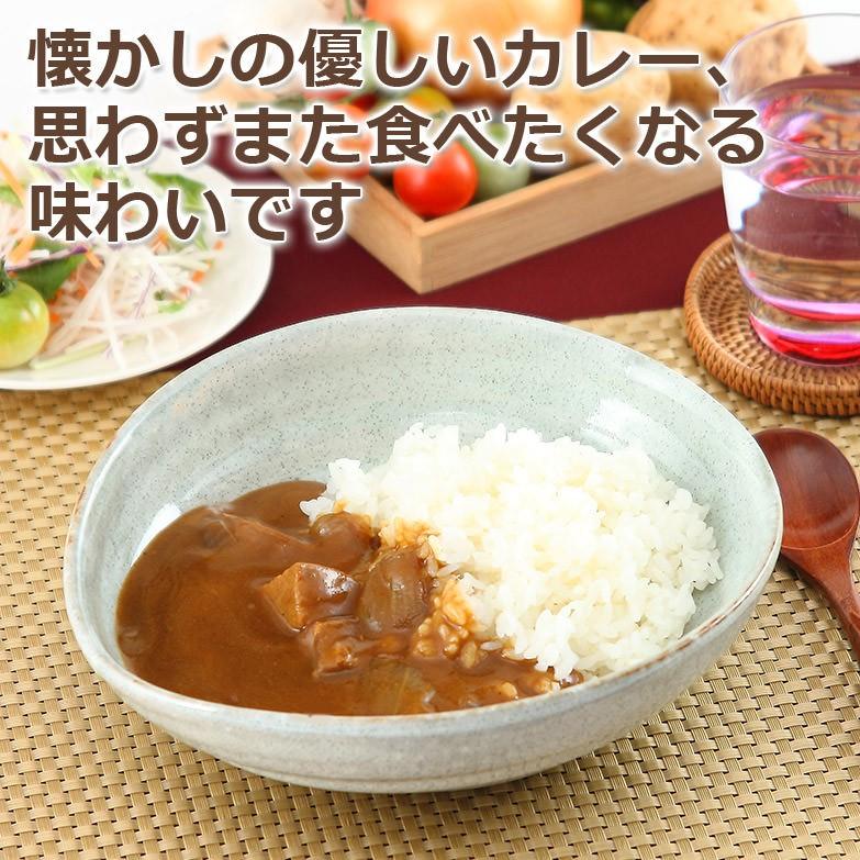 素材のよさを生かしてつくられた 懐かし味の華カレー＆牛の華カレー3種セット 送料無料 ポイント消化