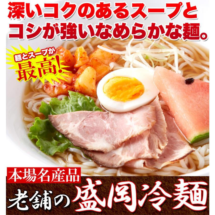 盛岡冷麺 4食 (100g×4袋) スープ付 ピリ辛 冷麺 簡単調理 常温 本場 名産品 老舗の味