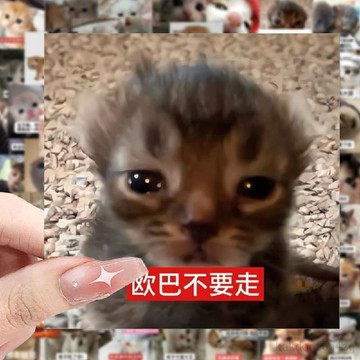 台灣發貨 小紅書衕款 抽象貼紙 198張貓咪表情包貼紙創意抽象沙雕可愛趣味diy手機手賬本防水貼畫 表情包 鬼畜 搞笑贴