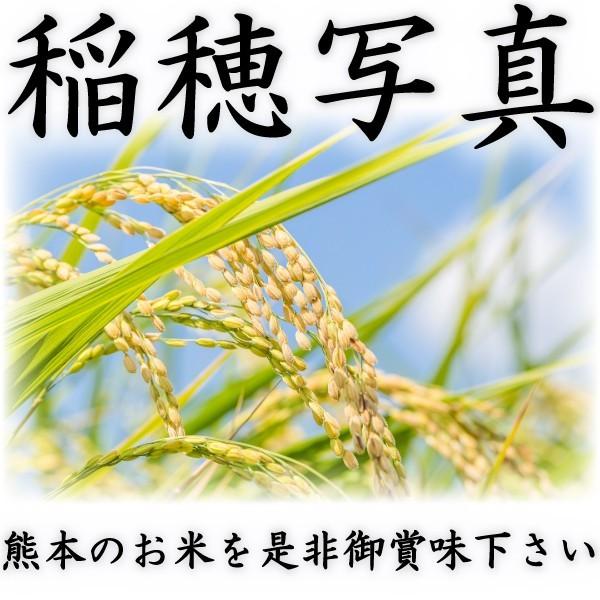 お米 米 10kg 白米 送料無料 富田商店一番人気 熊本県産 ひのひかり あすつく 新米 令和5年産 ヒノヒカリ くまもとのお米 富田商店 とみた商店