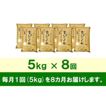 ふるさと納税 3人に1人がリピーター! ☆全8回定期便☆ 岩手ふるさと米 5kg×8ヶ月 令和5年産 新米 一等米ひとめぼれ 東北有数のお米の産地 .. 岩手県奥州市