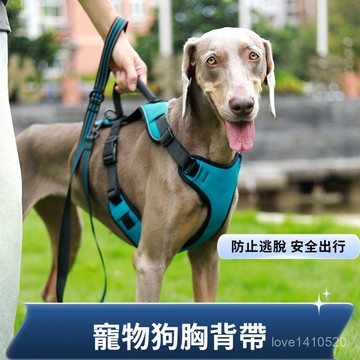 胸背帶 牽引繩 寵物胸背帶 狗狗胸背帶 貓咪背帶 大型犬 寵物用品胸背帶360環繞出行近身尼龍狗狗大型犬遛狗可伸縮胸背帶