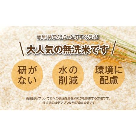 ふるさと納税   田村産 コシヒカリ20kg (5kg×4袋) ギフト 贅沢 のし対応 １週間以内発送 福島 ふくしま 田村 .. 福島県田村市