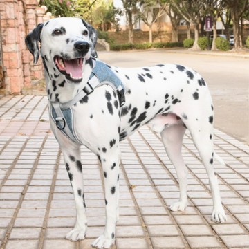 【Fur U】防暴衝反光胸背帶 夜跑散步都安心－雙色可選