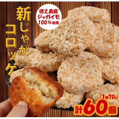 ふるさと納税 天城町 徳之島 天城町 徳之島産 新じゃがコロッケ 計60個(10個入り×6袋)