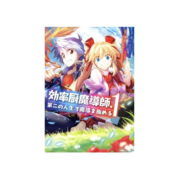 効率厨魔導師 第二の人生で魔導を極める １ アルファポリスｃ 浅川圭司 著者 謙虚なサークル ヘスン 通販 Lineポイント最大0 5 Get Lineショッピング