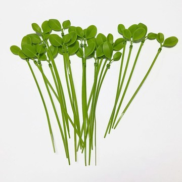 台灣現貨🍀塑膠束帶 園藝束帶 小草 樹葉束帶 小草束帶 葉子束帶 尼龍束帶 辦公室擺設 樹葉束帶 理線器 車牌裝飾
