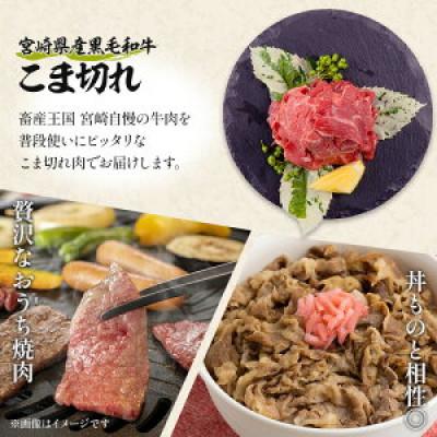 ふるさと納税 宮崎市 宮崎牛モモ・バラ焼肉 宮崎県産黒毛和牛こま切れ セット 合計1kg(宮崎市)