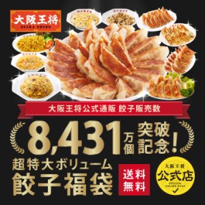 餃子販売数8431万個突破記念！超特大ボリューム餃子福袋 チャーハン 餃子 冷凍食品 冷凍餃子 炒飯 送料無料 惣菜 お弁当 リ