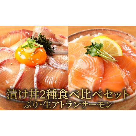 ふるさと納税 日向灘ぶりと生アトランサーモンの漬け丼2種食べ比べセット　100g×8袋　N019-ZA829 宮崎県延岡市