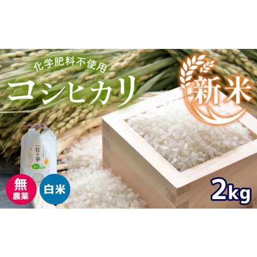 ふるさと納税 山口県 美祢市 無農薬・化学肥料不使用 コシヒカリ 2kg