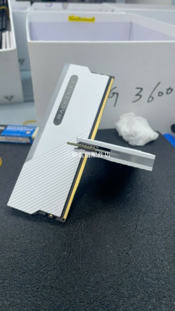 機械師 曙光 DDR5 6000MHz 16G x2 C30 白色 高頻寬 記憶體 组態 玩家 繪圖【三和電腦配件店】