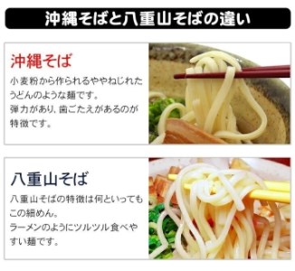 沖縄そば＆八重山そば 食べ比べ 10食セット