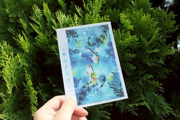 明信片　游魚系列之雙生