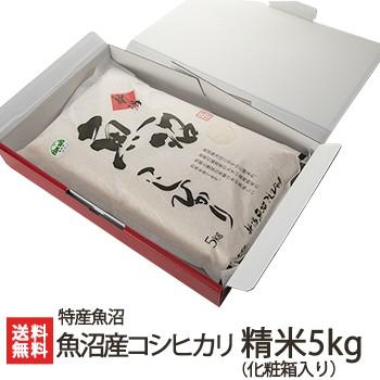 魚沼産 コシヒカリ 精米 5kg（化粧箱入り） 特産魚沼 送料無料