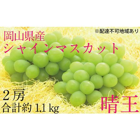 ふるさと納税 ぶどう 2024年 先行予約 シャイン マスカット 晴王 2房（合計約1.1kg） ブドウ 葡萄  岡山県産 国産 フルーツ 果物 ギフト 岡山県倉敷市