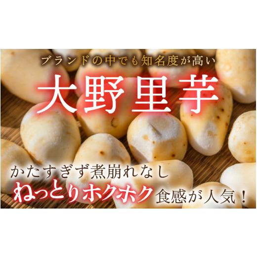 ふるさと納税 福井県 大野市 簡単手間なし！冷凍のまま調理！大野の里芋の洗い子 1kg×1袋