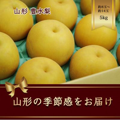 ふるさと納税 山形県 豊水梨　約8玉〜約14玉　約5kg