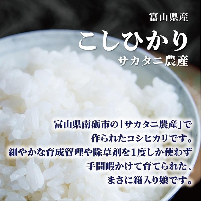 米 2kg 送料無料 白米 こしひかり 令和五年産 富山県産 2Kg お米 玄米 ごはん 特別栽培米 減農薬減化学肥料米 一等米 単一原料米 保存食 米 真空パック 高