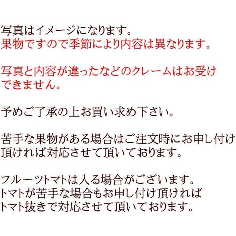 プチギフト 内祝い お見舞い お誕生日プレゼント ギフトに人気 プチフルーツギフト10個