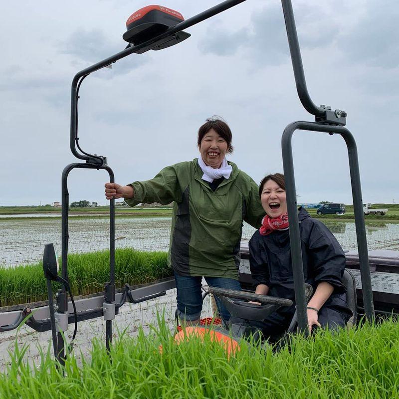 水菜土農園無洗米令和4年産 秋田県産 あきたこまち 15kg (5kg×3袋) 古代米お試し袋付き