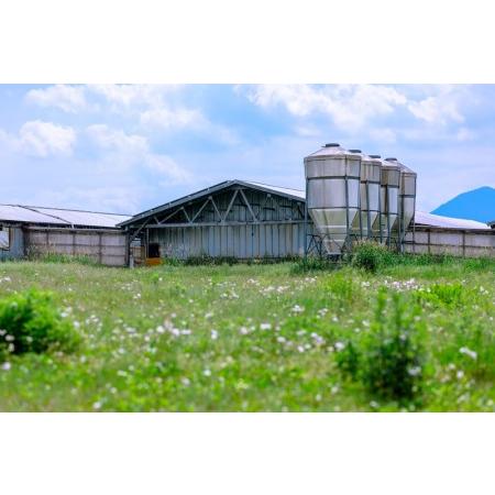 ふるさと納税 富士ケ嶺ポーク総重量約2.3kg 山梨県富士河口湖町