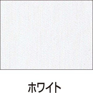 ｼﾙｸｽｸﾘｰﾝ用透明ｲﾝｷ 100ccﾎﾜｲﾄ 美術･画材･書道 絵具・塗料・染料