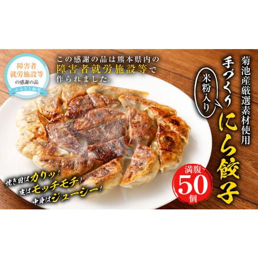 ふるさと納税 熊本県 こだわりの手作りニラ餃子(冷凍)50個 タレ付き