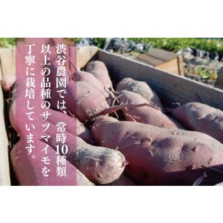 ふるさと納税 BZ-29 2023年度産約20kgコンテナ入りサツマイモ（すずほっくり） 茨城県行方市