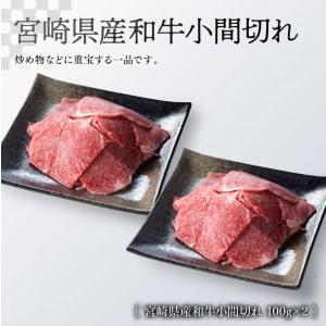 ふるさと納税 ※令和6年2月より順次発送※《生産者支援品》宮崎牛ロースステーキ (宮崎県産和牛こま切れ付き) 合計700g【肉 牛肉 国産 黒毛和牛 .. 宮崎県川南町