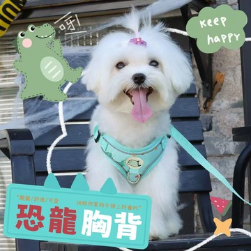 【台灣熱賣】寵物胸背 狗狗外出胸背帶 小狗牽引繩 貓咪牽繩 遛貓繩 遛狗繩 防掙脫 狗狗透氣胸背 背心式胸背帶 犬貓用品
