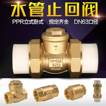 黃銅止回閥4/6分1寸臥式止逆閥ppr內外絲水管道水表立式單向閥門