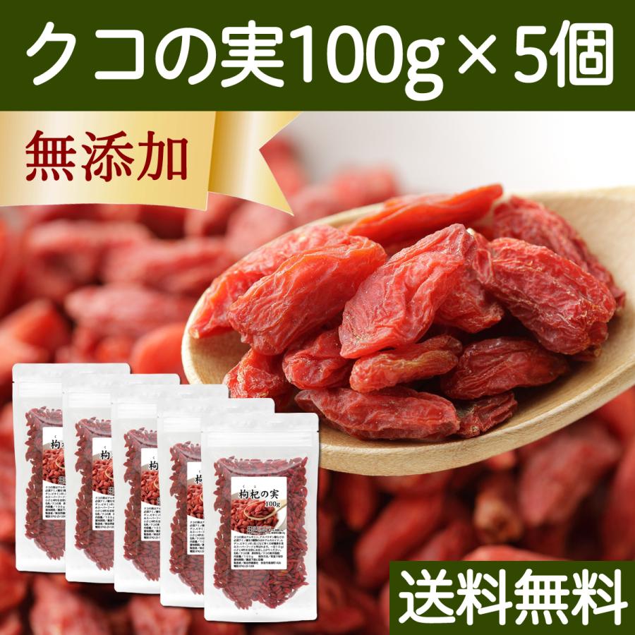 クコの実 100g×5個 ゴジベリー くこの実 無添加 クコ茶 ドライ 送料無料